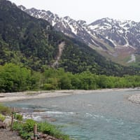 上高地　梓川右岸散策