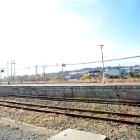 懐かしの駅弁（長万部・かにめし）