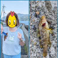 🎣 舞鶴釣り紀行