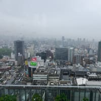 大阪に来ました