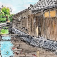 「「医療」は間違って進...」