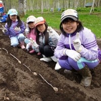 5月日帰りプログラム「春の探検！山菜採り＆種まき」