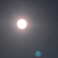 きっとそういうことではないと思うけどね