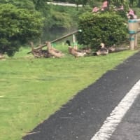 テーブルの下で