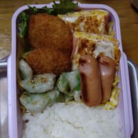 我が家のお弁当🍱(∩´∀｀)∩ﾜｰｲ　2025/07/12とその前