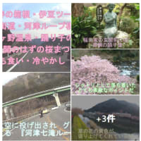 レインボーブリッジと比較は可愛そうだね『河津七滝ループ橋』❢