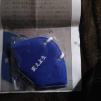 仁科なつみ議員公職選挙法違反か？