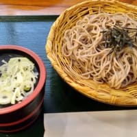 今日のおでかけ