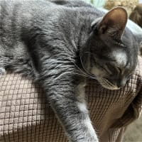 行き倒れたおんにゃと待つおとこｗ
