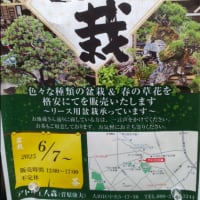 ６／１１（水）#二十四節気＃芒種６日#満月０日：活発化するタイミングだが、空回りに注意