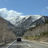 居ながら旅を楽しむ