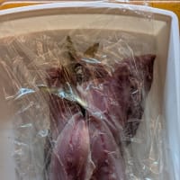 釣り場は、ゴミだらけ!?
