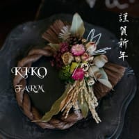 🎍今年も宜しくお願いします(*´꒳`*ﾉﾉﾞ