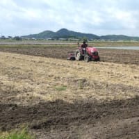 酒米田んぼ「土壌作り」