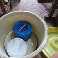 この時期梅干しとラッキョウ漬けである。以前は妻がやっていたが聞きながら減塩で挑戦