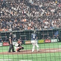 西武vs巨人の試合を観戦〜技巧派投手の素晴らしさ