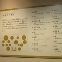 羽を伸ばして！