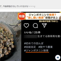 夏式生活の開始