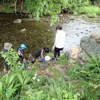 里山体験プログラム「プライベイトリバーで川遊び①」