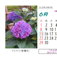 2025年6月の花のカレンダー