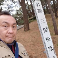 【誕生日はバイク旅だ】その４.三保の松原