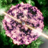 観測史上最も明るいガンマ線バーストの正体は普通の超新星爆発だった！ なぜ生成されるはずの重元素が見つからないのか