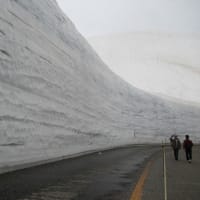 立山・雪の大谷ツアー