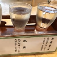 栃木の旅2日目のお宿は亀の井ホテル