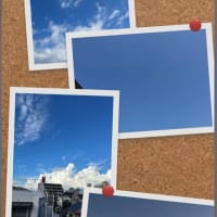 踏ん切りのわるさはDNAのせい！