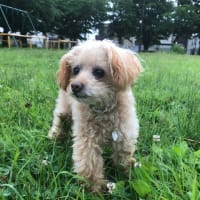 ハピバ！