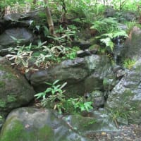 鎌倉散歩～一条恵観山荘・庭園