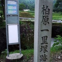 05/26旅日記：中山道の一里塚、関所跡②