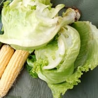 2025/07/04 もう梅雨が明けたそうだ