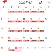 2025年6月の走行記録