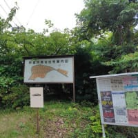 ☆天空の廃墟・田浦月見台住宅②なりわい住宅