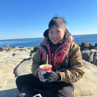 日南海岸地磯