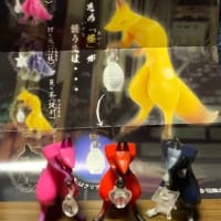 それだと全力でとうもろこしを主張してるみたいになるんだコーーーン‼︎