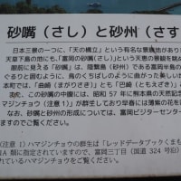 雨の天草西海岸　富岡城跡散策