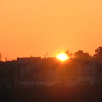 250101 明けましておめでとうございます