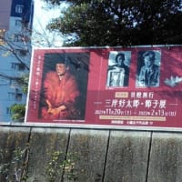 三岸節子展