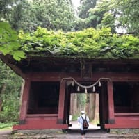 夏の自然菜園体験ツアー【食農イベント】