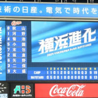 シーズンの分水嶺となったかもしれませんー日本プロ野球2024　横浜vs広島10回戦