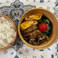お豆腐のタレ（タイシ）