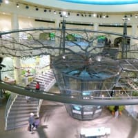 鳥取県立美術館となしっこ館
