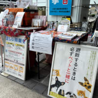 4月20日のお知らせ