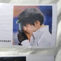 notte stellata 2025 会場にて