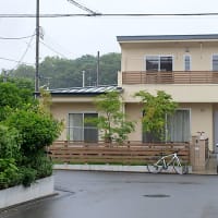 にしこいの家　１年