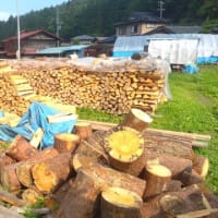 平治郎田草刈り作業