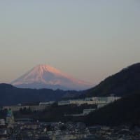 朝焼けの綺麗な富士山