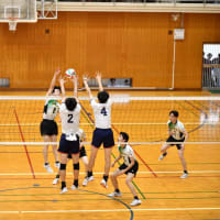 6月15日（日）　インターハイ予選　準々決勝